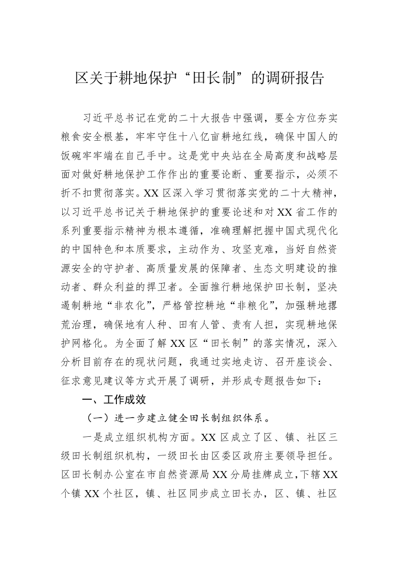 区关于耕地保护“田长制”的调研报告 第1页