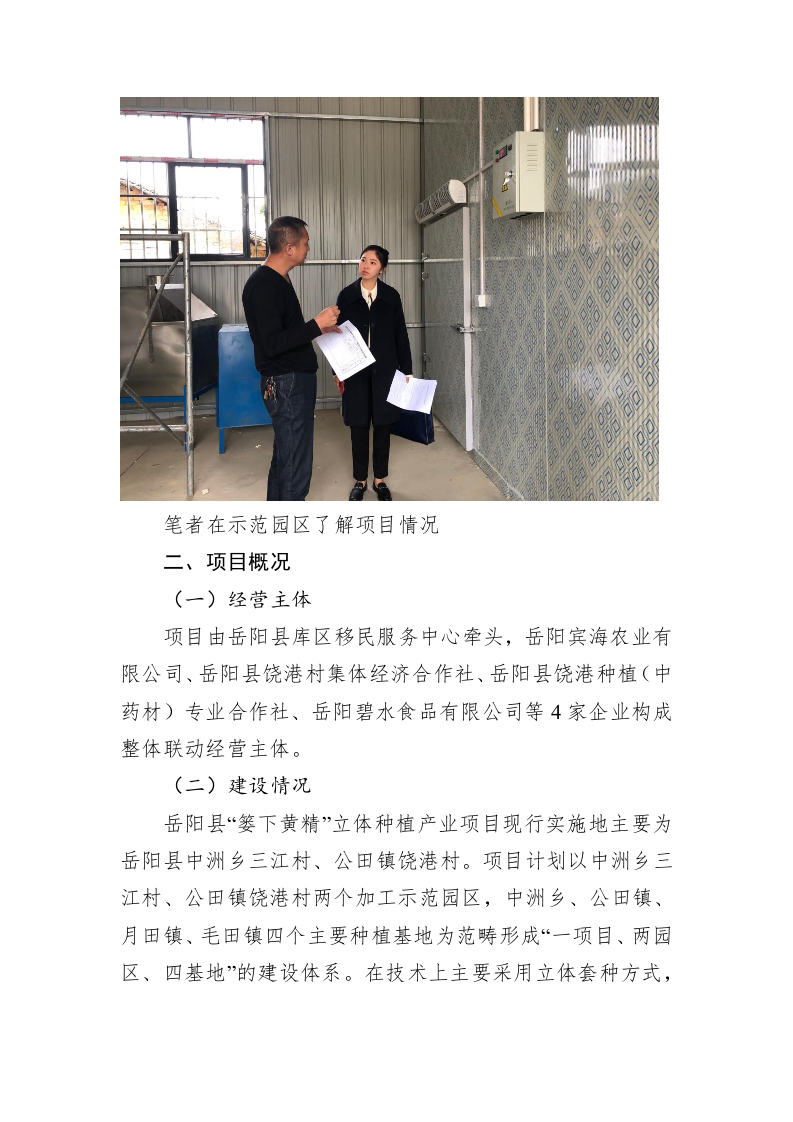 岳阳县“篓下黄精”立体种植产业调研报告 第2页