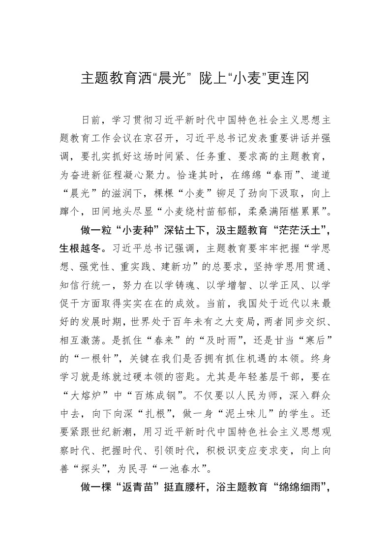 主题教育学习心得体会：主题教育洒“晨光” 陇上“小麦”更连冈 第1页