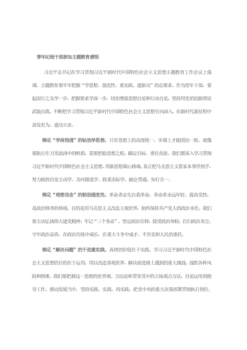 青年纪检干部参加主题教育感悟 第1页