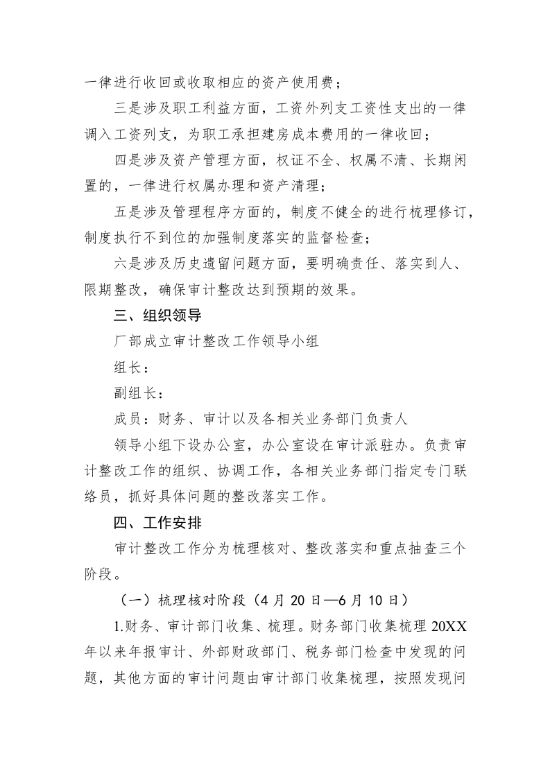 公司审计整改工作实施方案 第2页