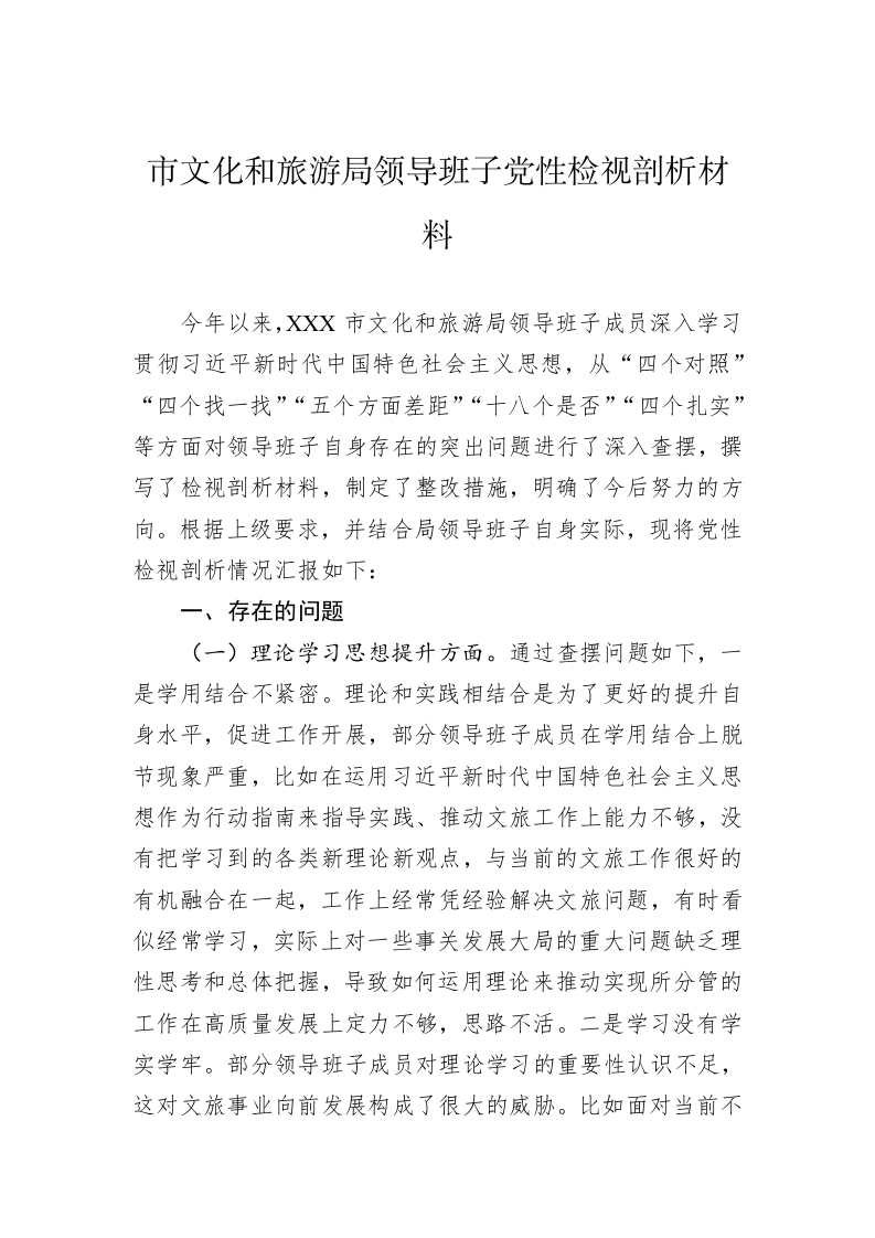 市文化和旅游局领导班子党性检视剖析材料 第1页
