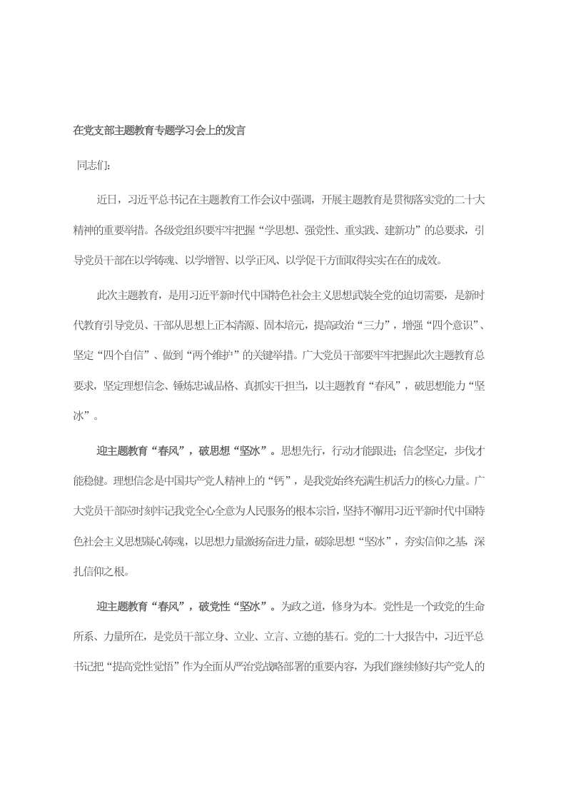 在党支部主题教育专题学习会上的发言 第1页