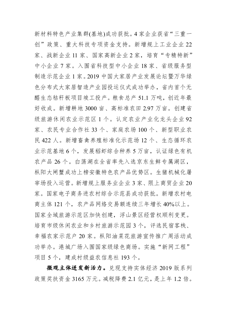 2020年枞阳县政府工作报告 第2页