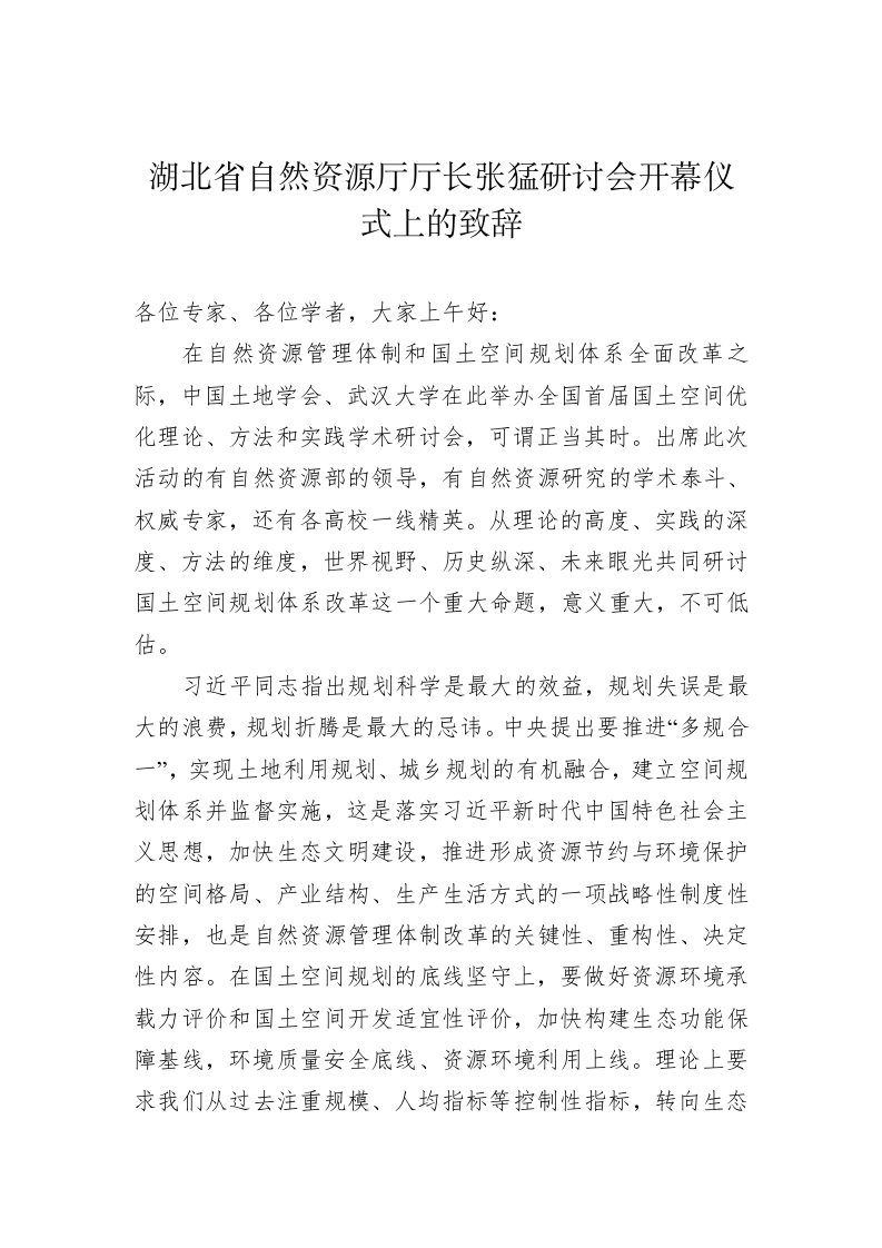 张猛：研讨会开幕仪式上的致辞 第1页