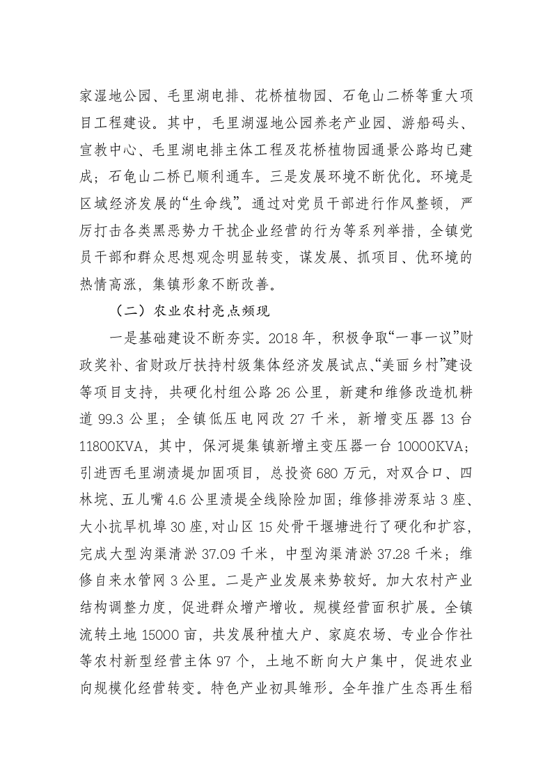 袁超伦：在2019年经济工作会议上的讲话 第2页