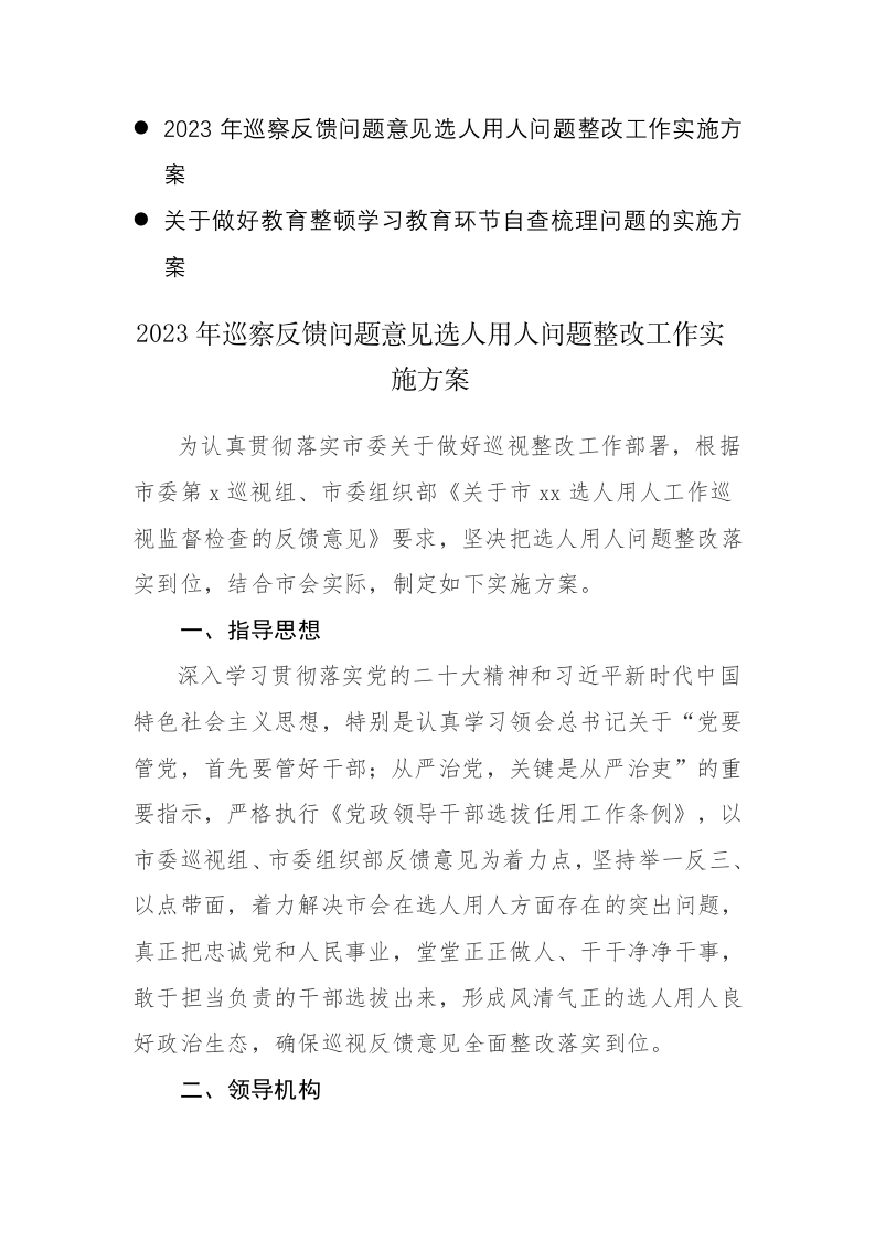 2023年巡察反馈问题意见选人用人问题整改工作实施方案 第1页