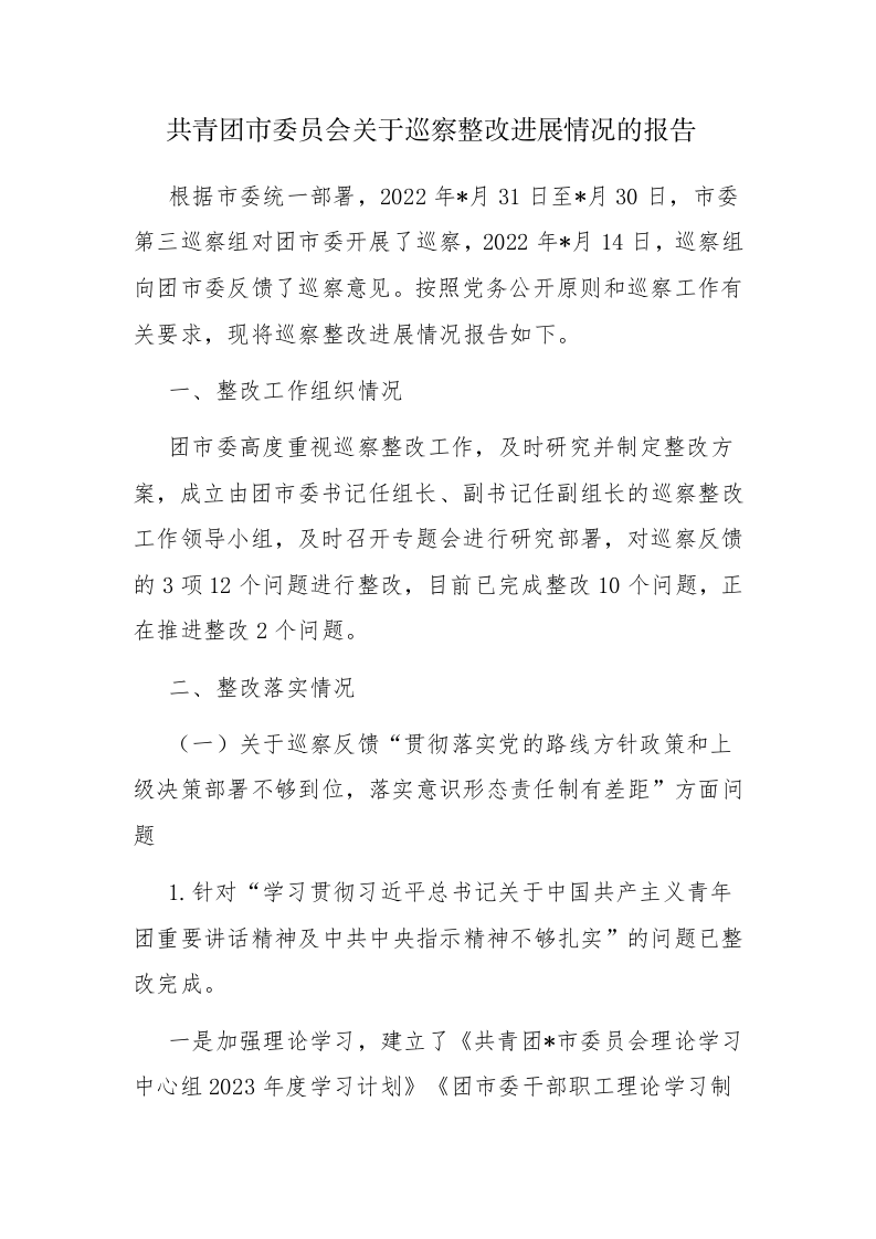 共青团市委员会关于巡察整改进展情况的报告范文 第1页