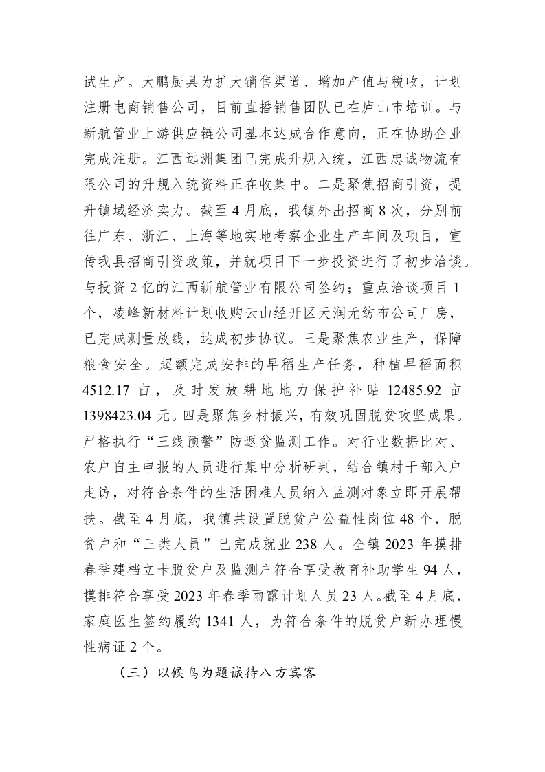 镇2023年上半年工作总结及下半年工作计划 第2页