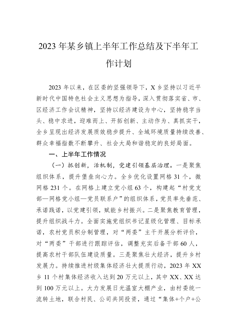 2023年某乡镇上半年工作总结及下半年工作计划 第1页