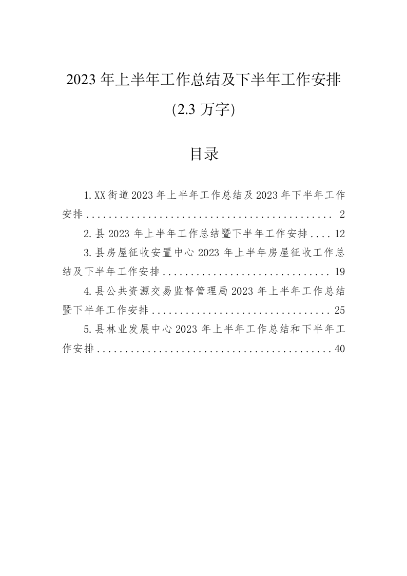 2023年上半年工作总结及下半年工作安排（2.3万字） 第1页