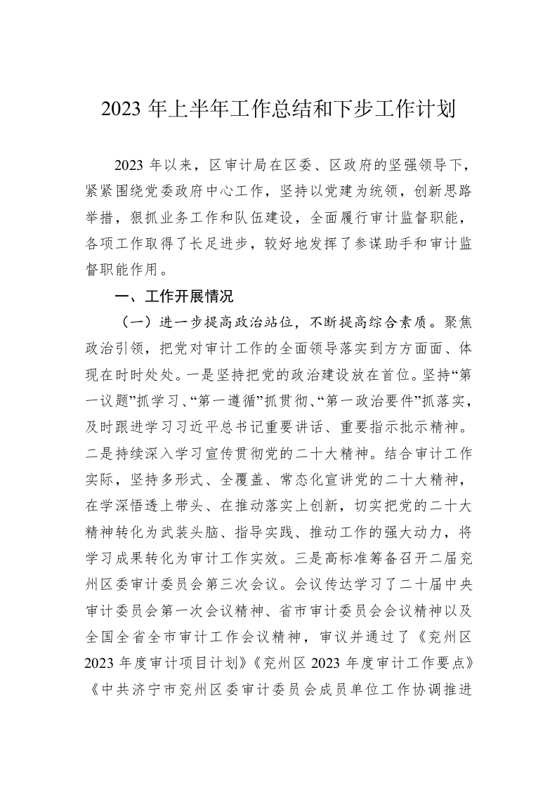 2023年上半年工作总结及下半年工作计划（2.32万字） 第2页