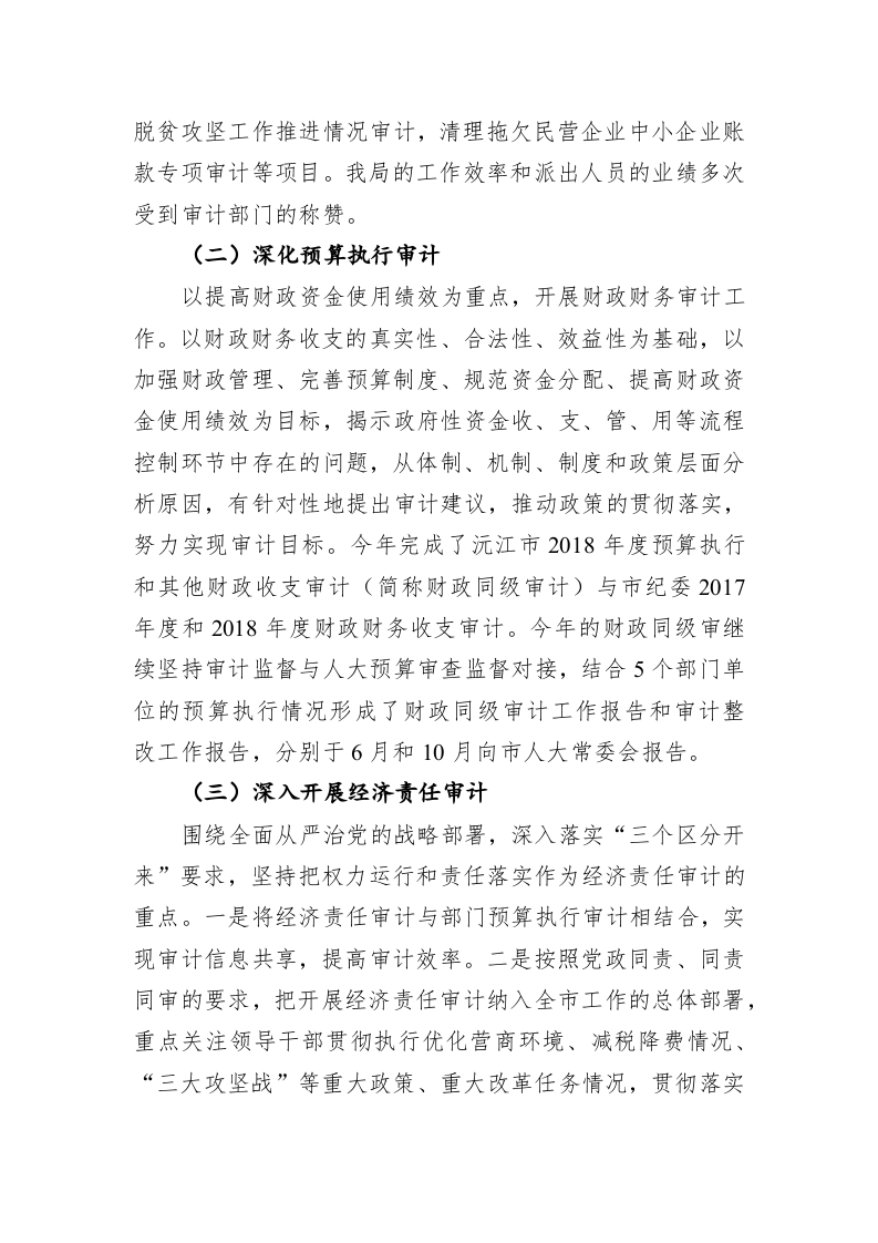 沅江市审计局2019年工作总结及2020年工作思路与举措 第2页