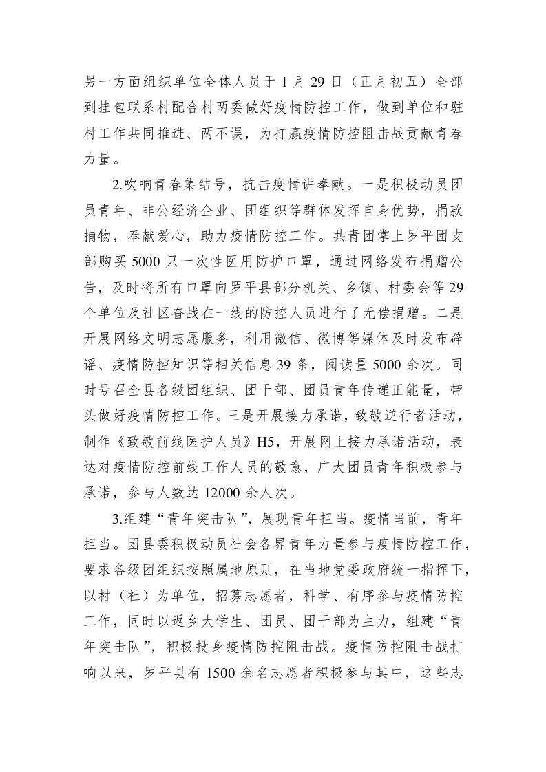 共青团罗平县委2020年度工作情况报告 第2页