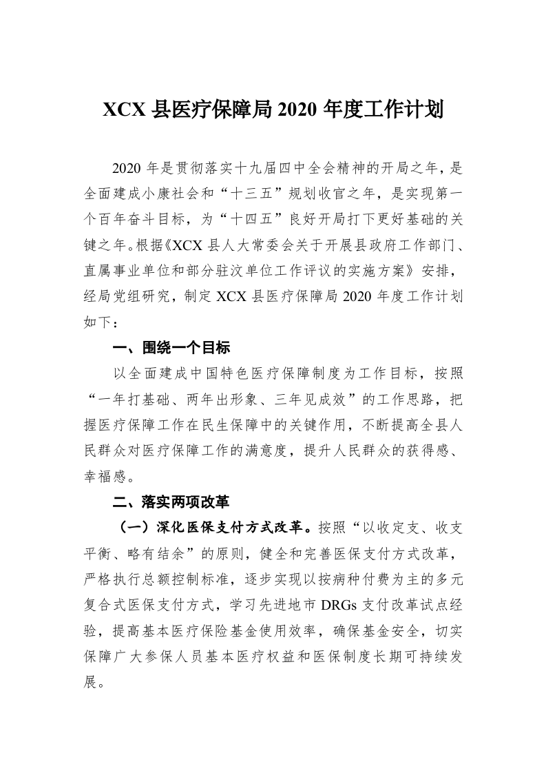 XCX县医疗保障局2020年度工作计划 第1页