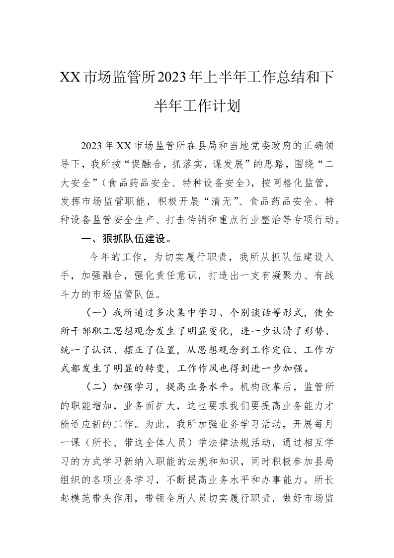 XX市场监管所2023年上半年工作总结和下半年工作计划（20230629） 第1页