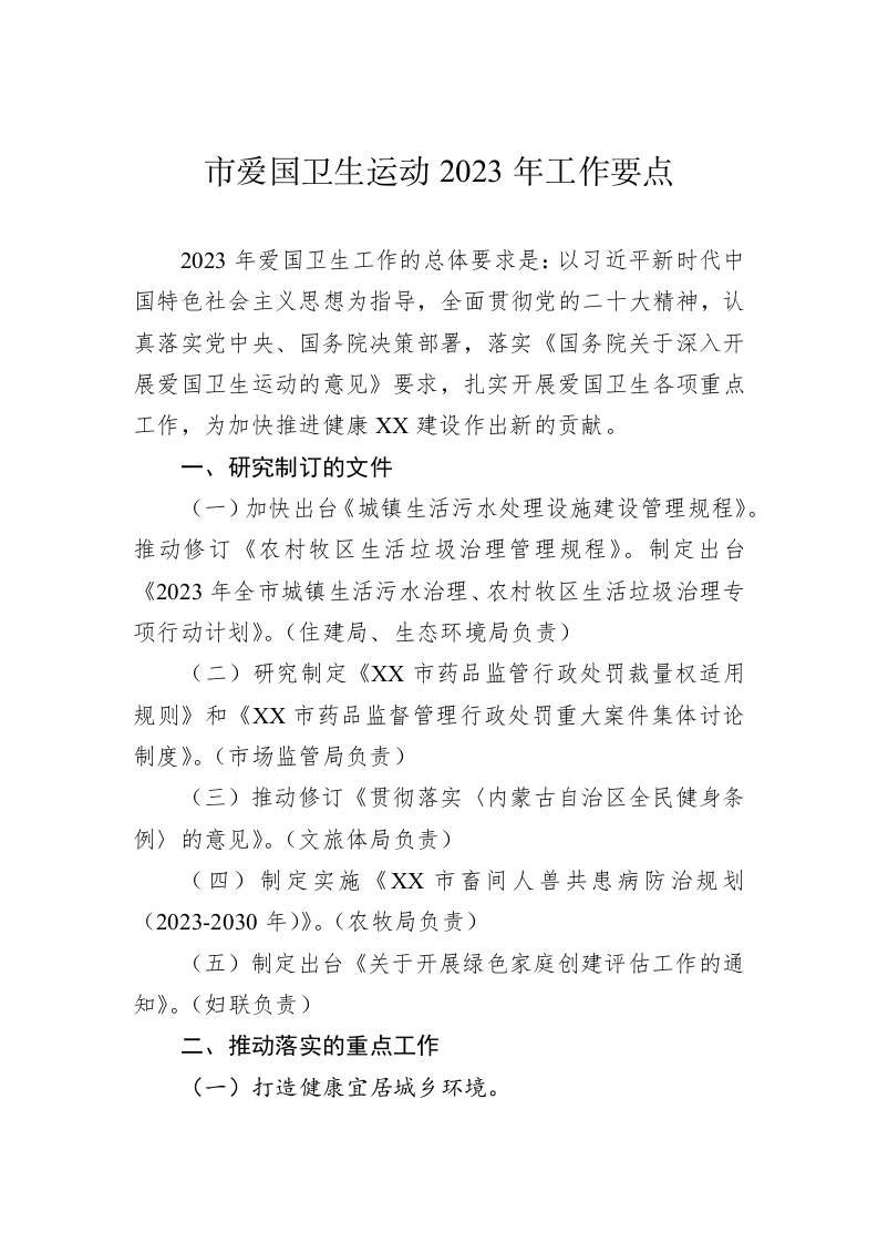 市爱国卫生运动2023年工作要点(1) 第1页