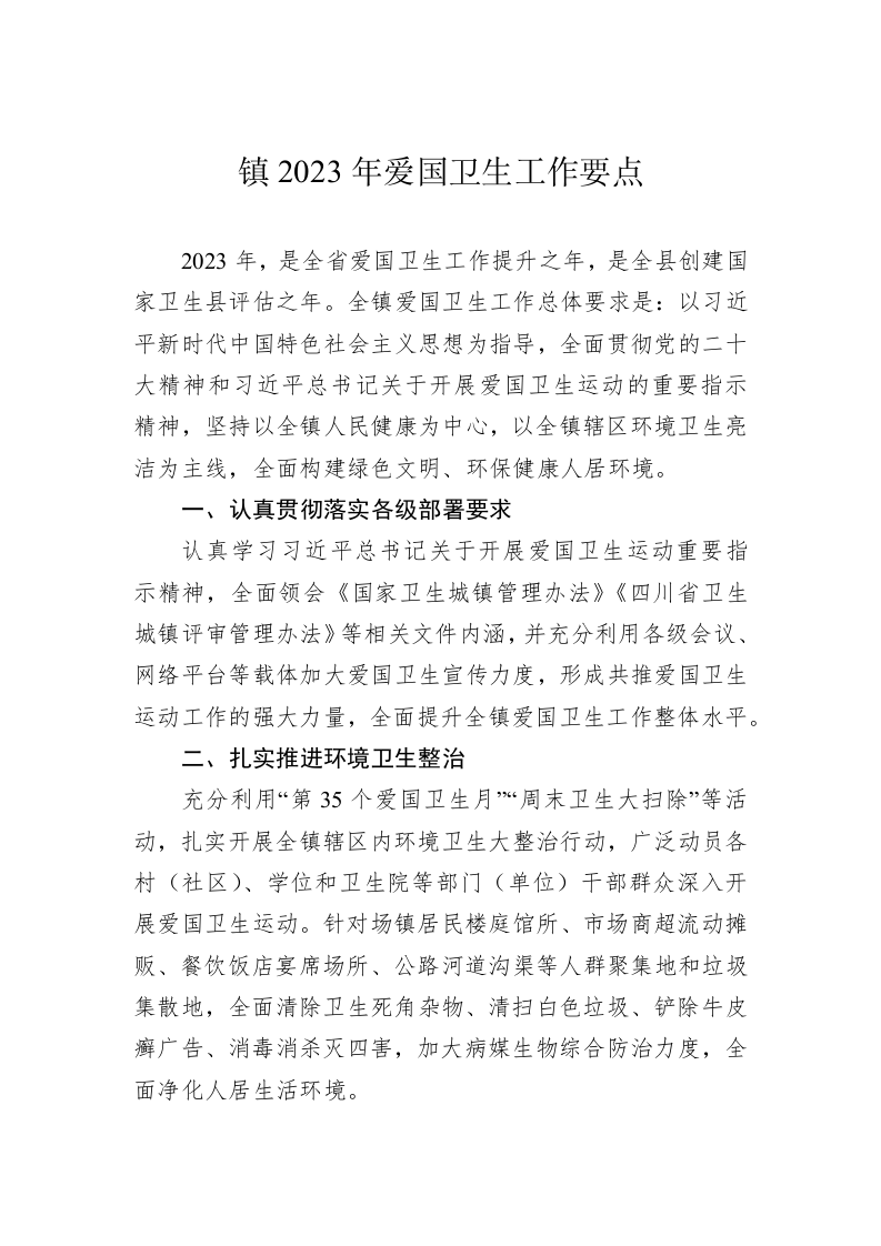 镇2023年爱国卫生工作要点 第1页
