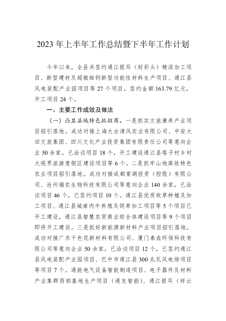 2023年上半年工作总结暨下半年工作计划 第1页