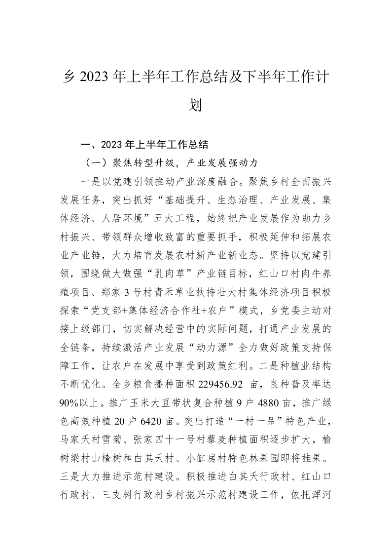 乡2023年上半年工作总结及下半年工作计划 第1页