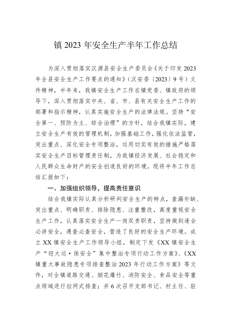 镇2023年安全生产半年工作总结 第1页