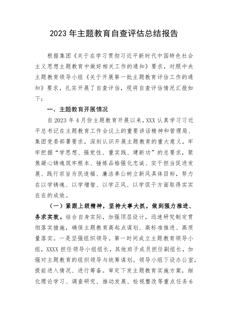 2023年主题教育自查评估总结报告 第1页