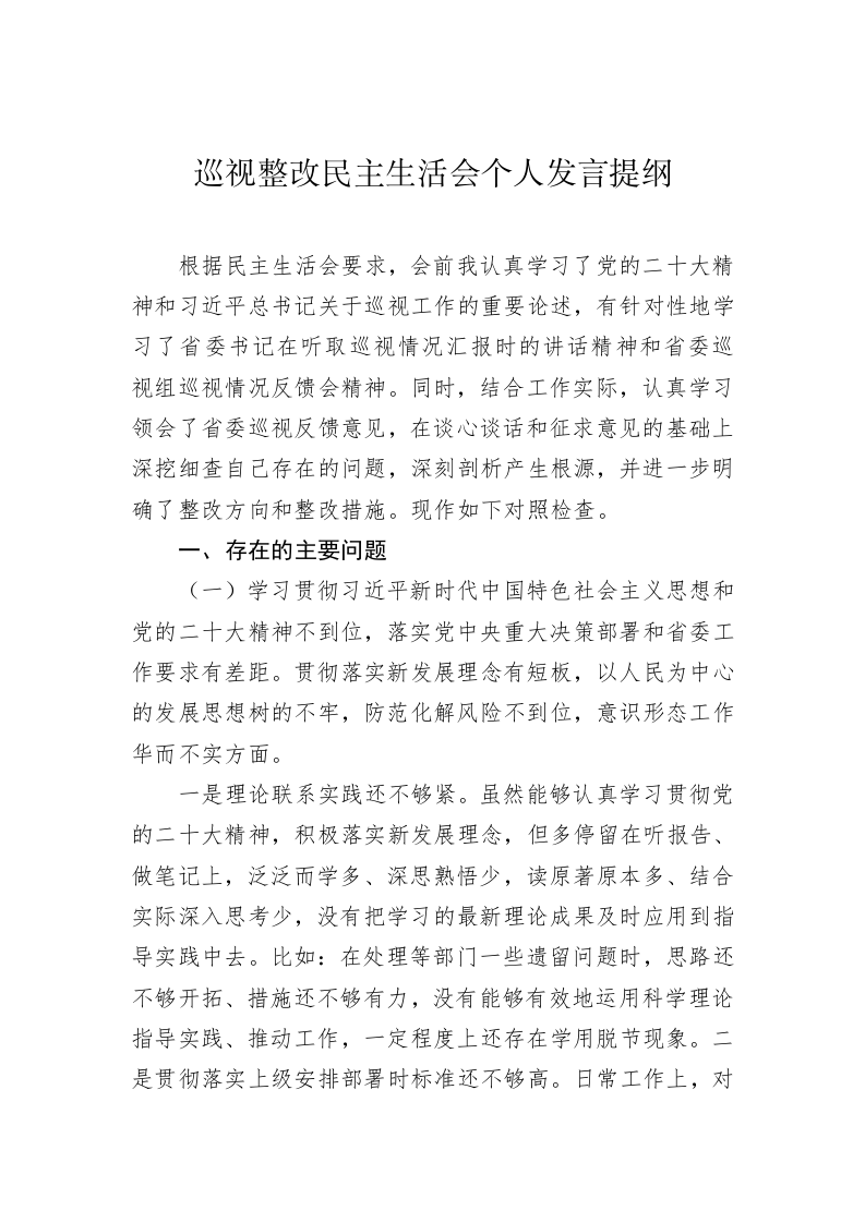 巡视整改民主生活会个人发言提纲 第1页